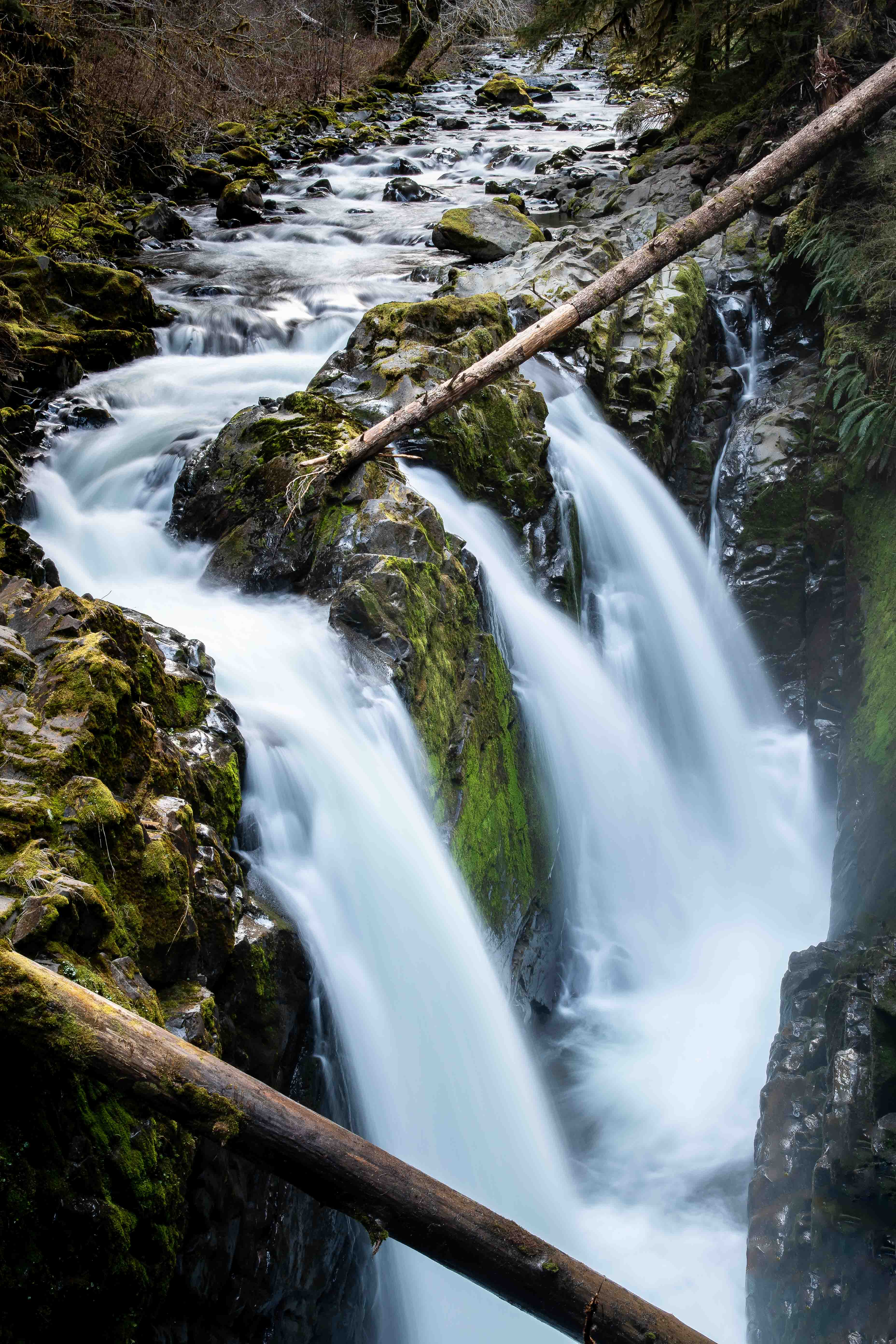 Sol Duc Falls - Olympic, Washington
