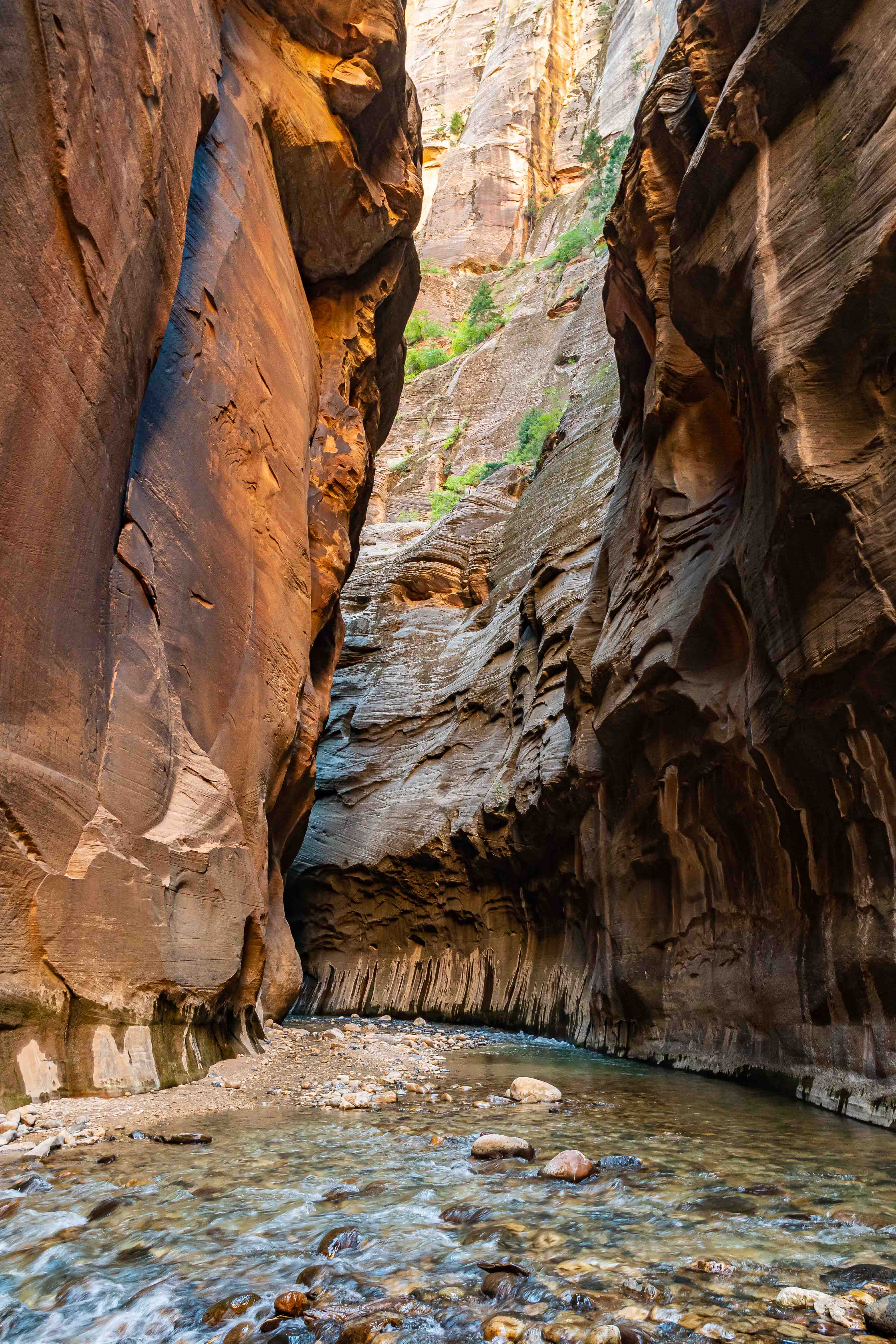 Deep in The Narrows - Zion, Utah