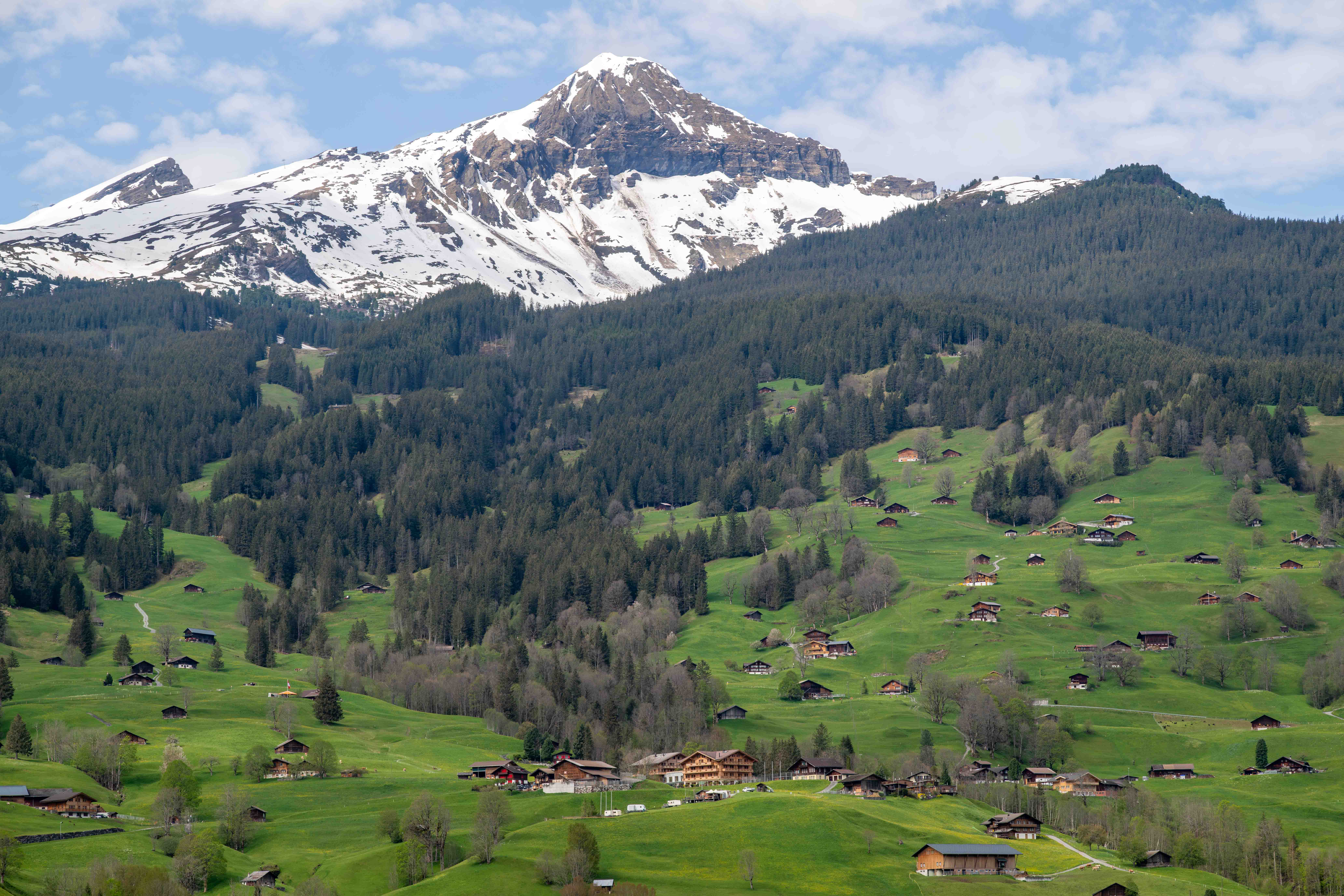 Alpine Chalets on a Green Hillside - Bernese Oberland